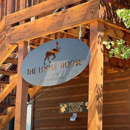 The Loose Moose Lodge #3 At Downtown Grand Lake Eksteriør billede